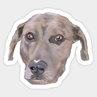 Catahoula Sticker